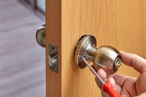 Lo_&_Co_Interiors brushed brass door handles