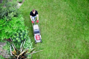 lawn mowing Adelaide